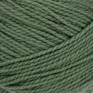 Gepard Garn Woolia - 866 - Dark Fern