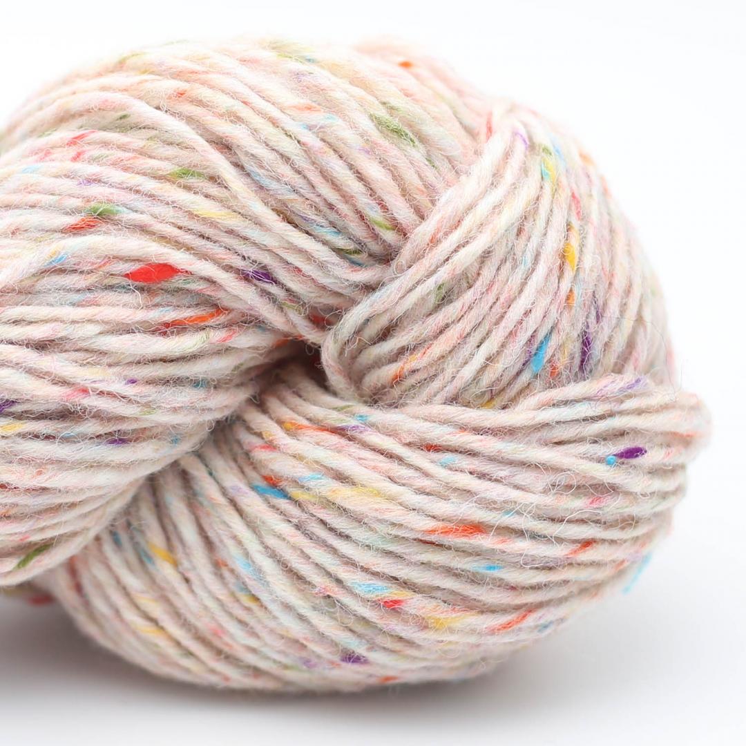 Erika Knight Pure Tweed - 4501 - Scottish Borders Multicolor